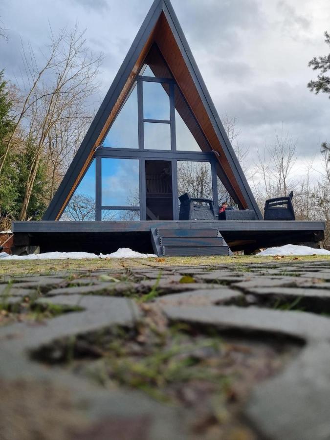Aret House Villa Avrig Exterior photo