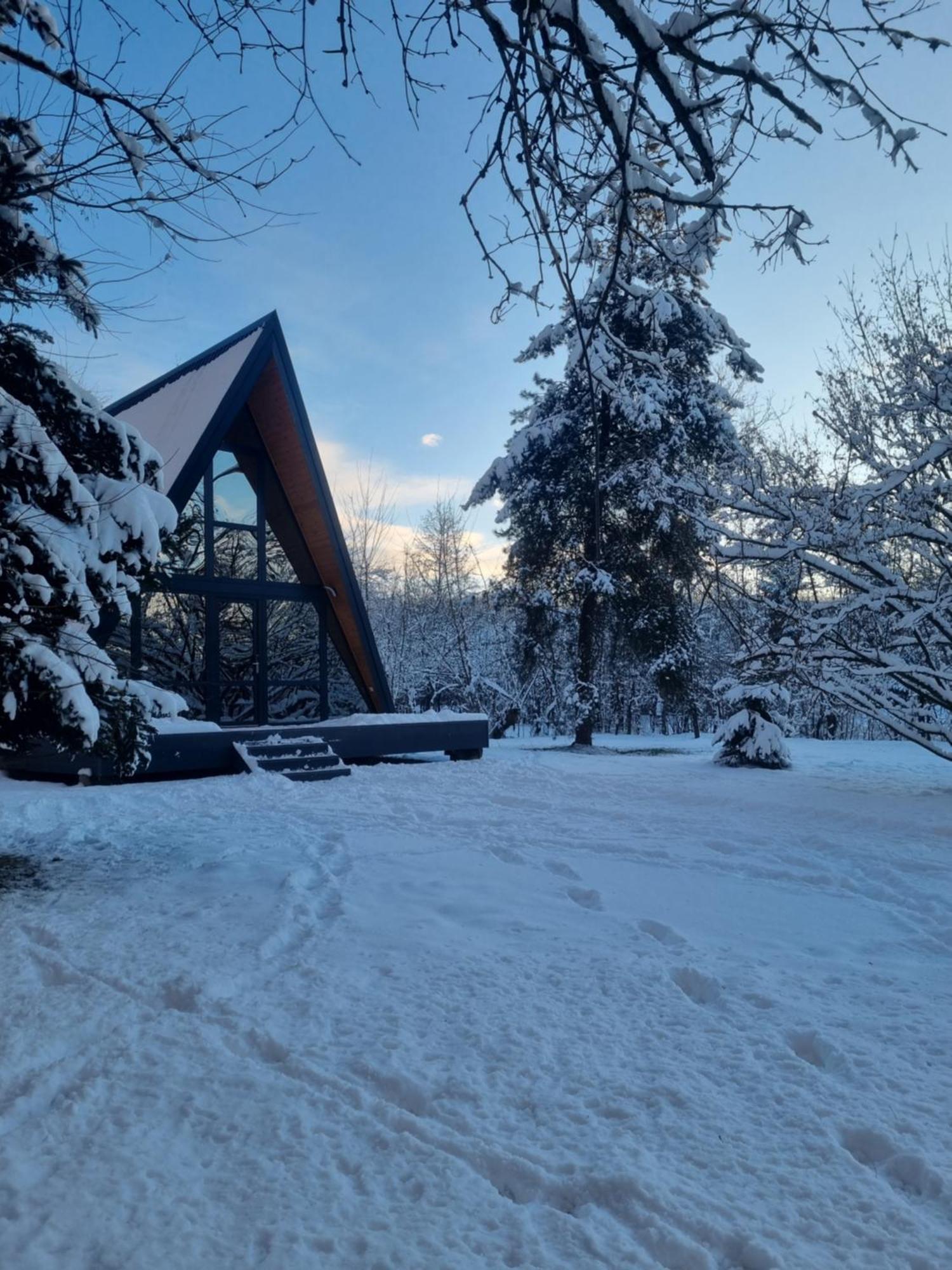 Aret House Villa Avrig Exterior photo