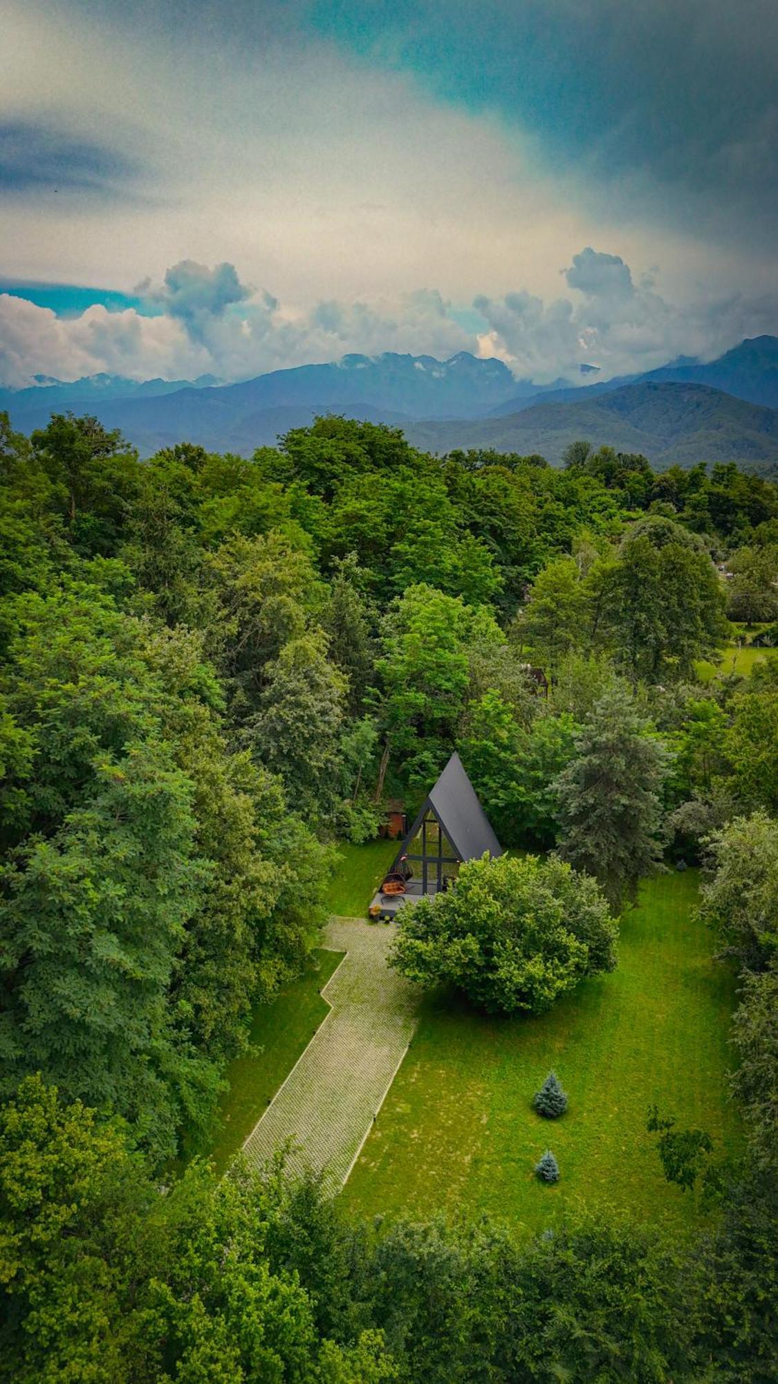 Aret House Villa Avrig Exterior photo